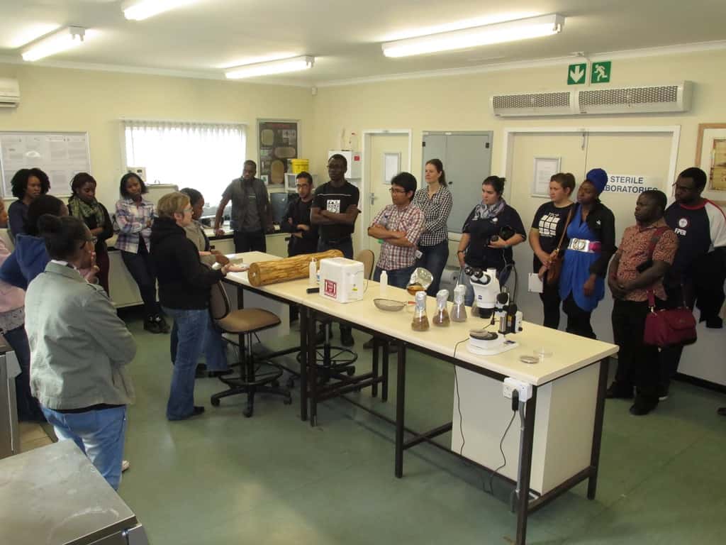 FABIans visit the Biocontrol Facility