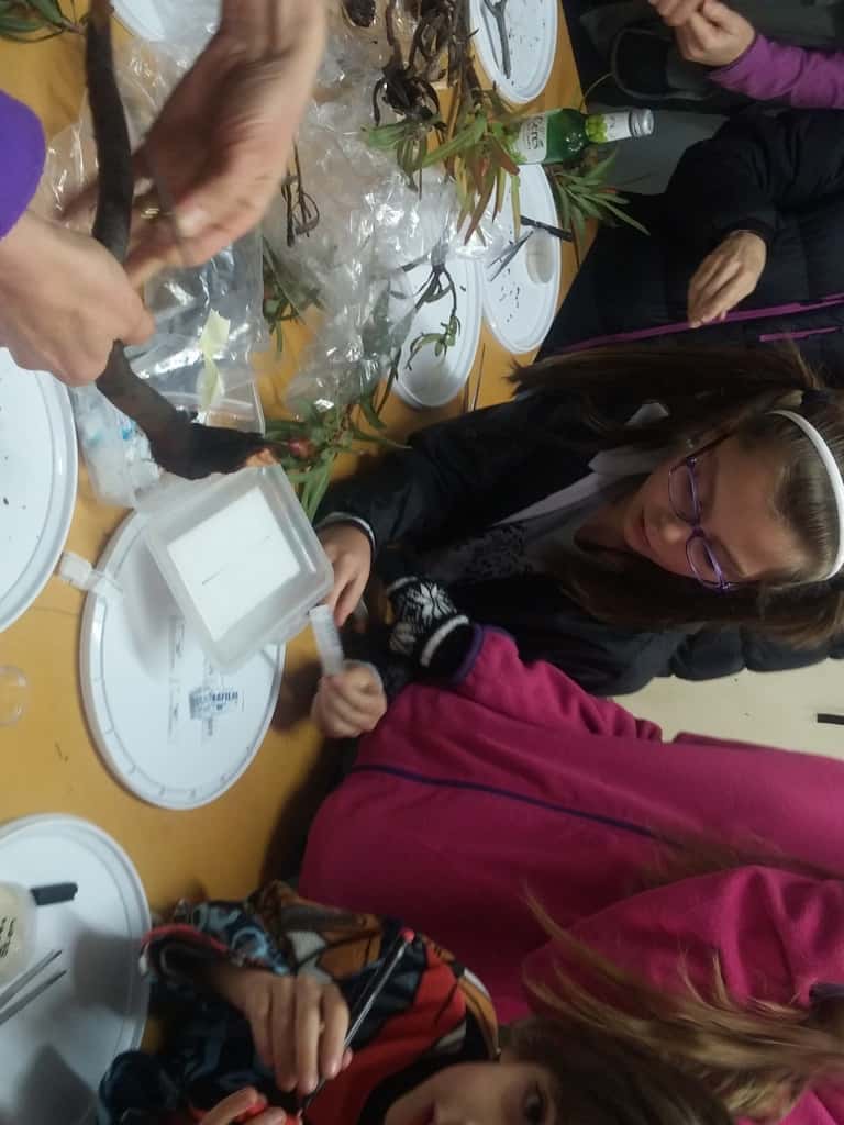 FABIan engages communities at two fynbos festivals in the Western Cape