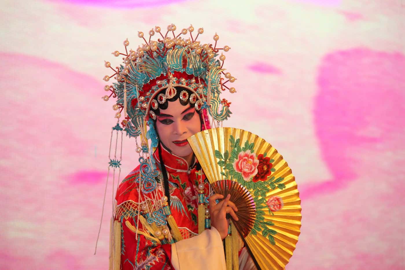 Welcome to the IUFRO Regional Congress for Asia and Oceania 2016