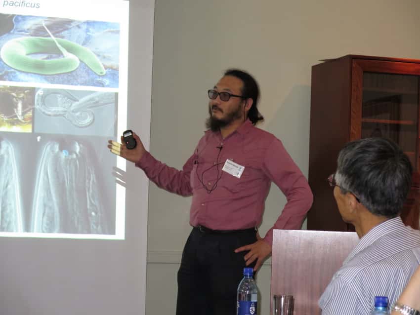 Sirex research in South Africa and Japan in the spotlight at a FABI mini-symposium