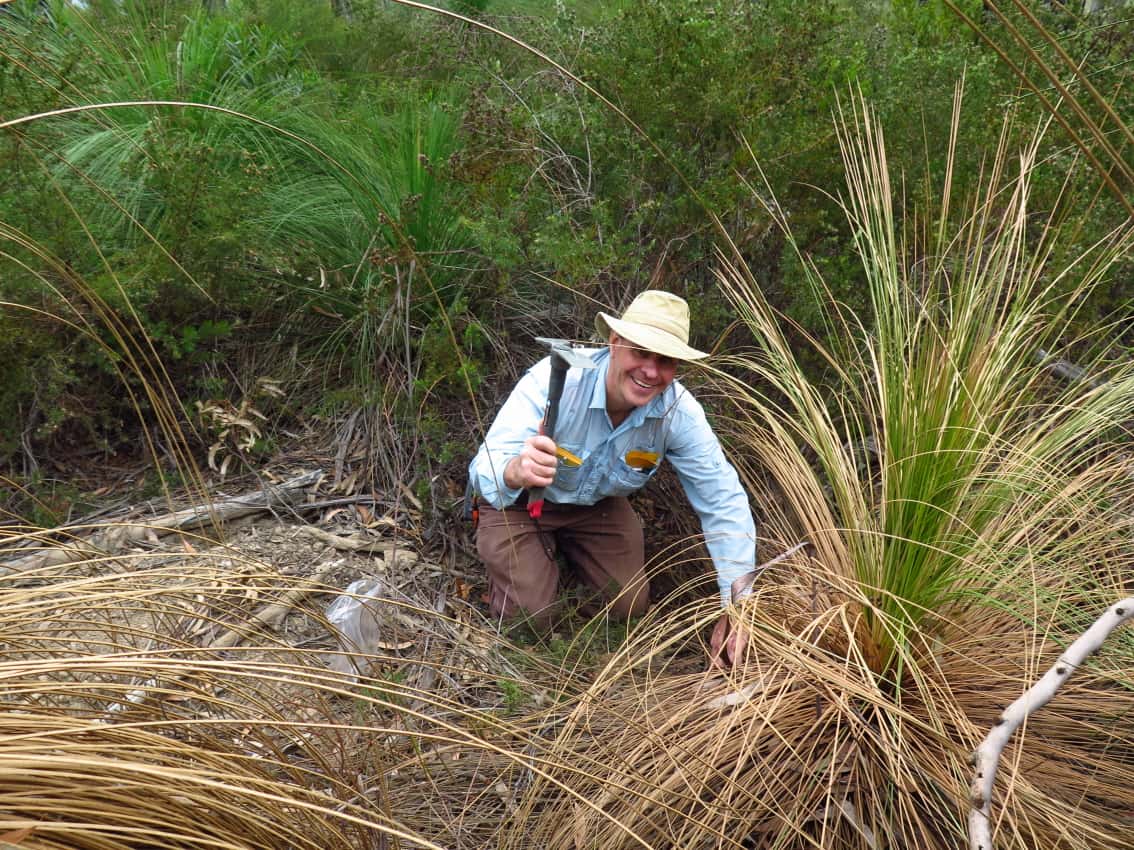 Exploring fungal biodiversity in eastern Australia