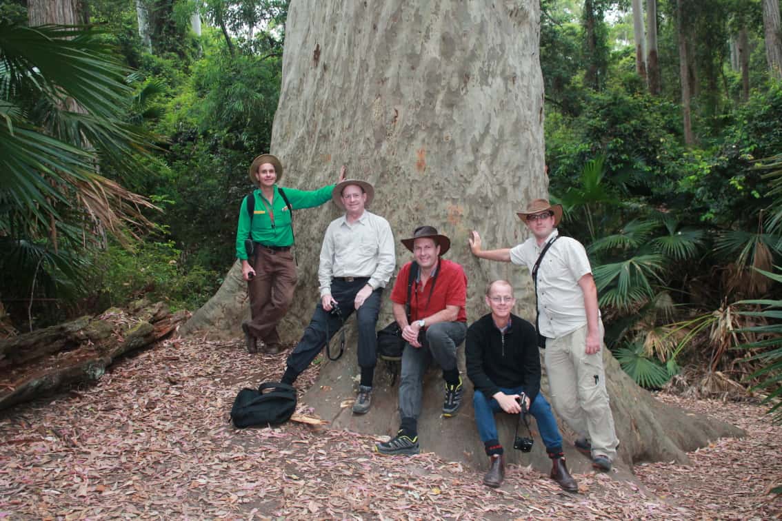 Exploring fungal biodiversity in eastern Australia