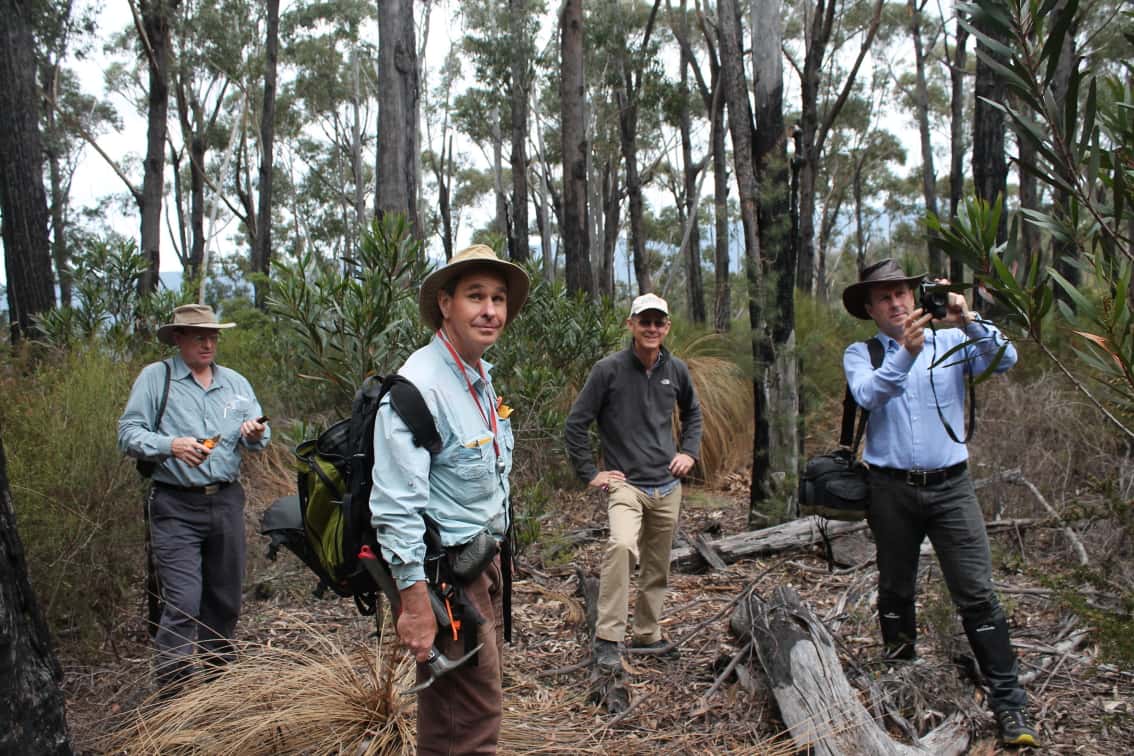 Exploring fungal biodiversity in eastern Australia