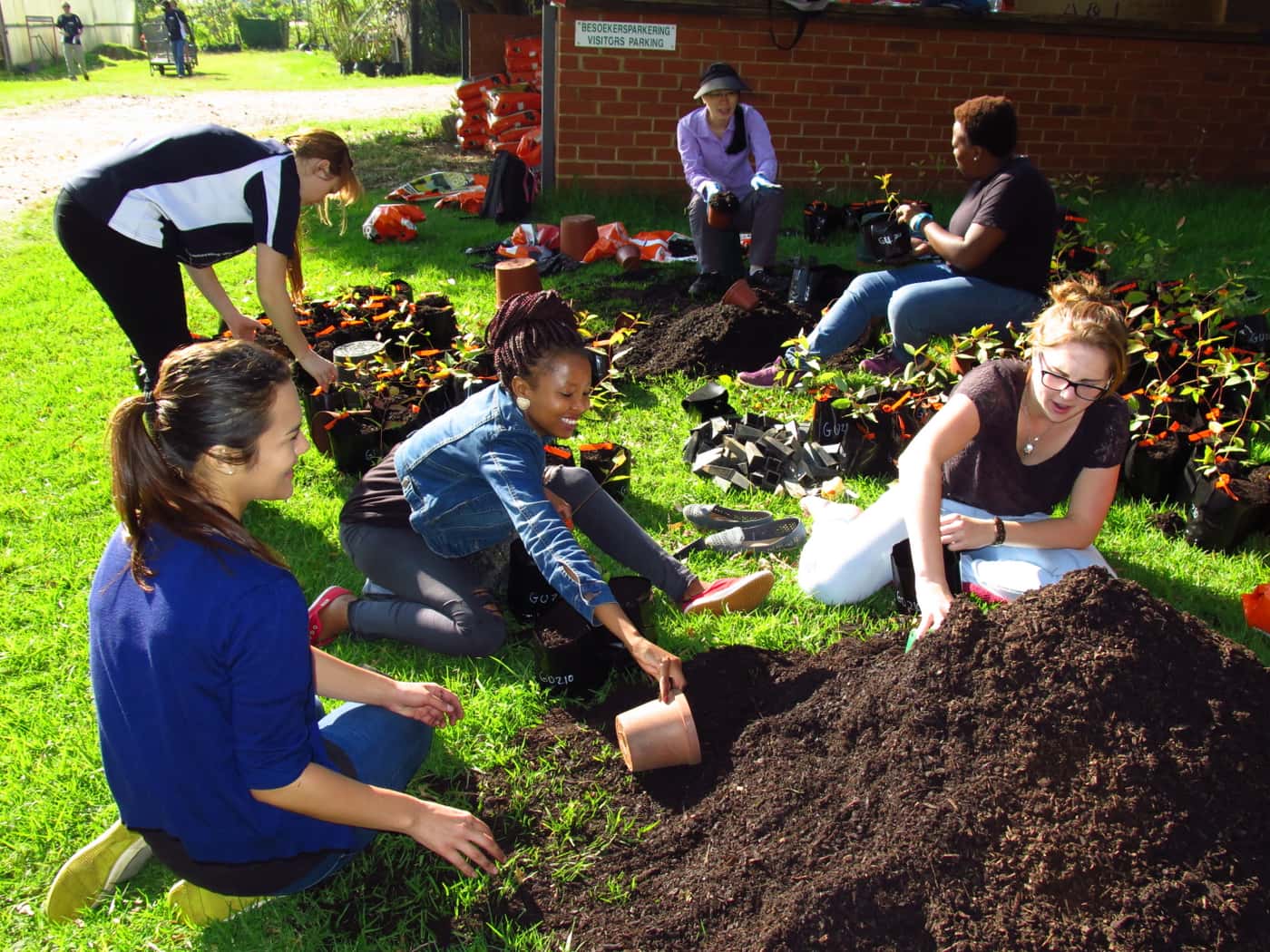 FABIans break a record at 2017 TPCP-CTHB tree planting