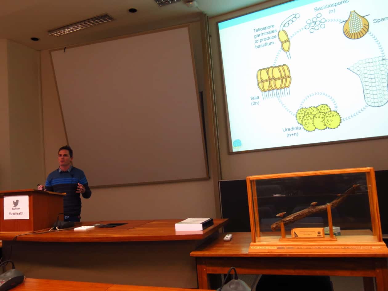 TUKS showcases international tree health research at the annual TPCP symposium