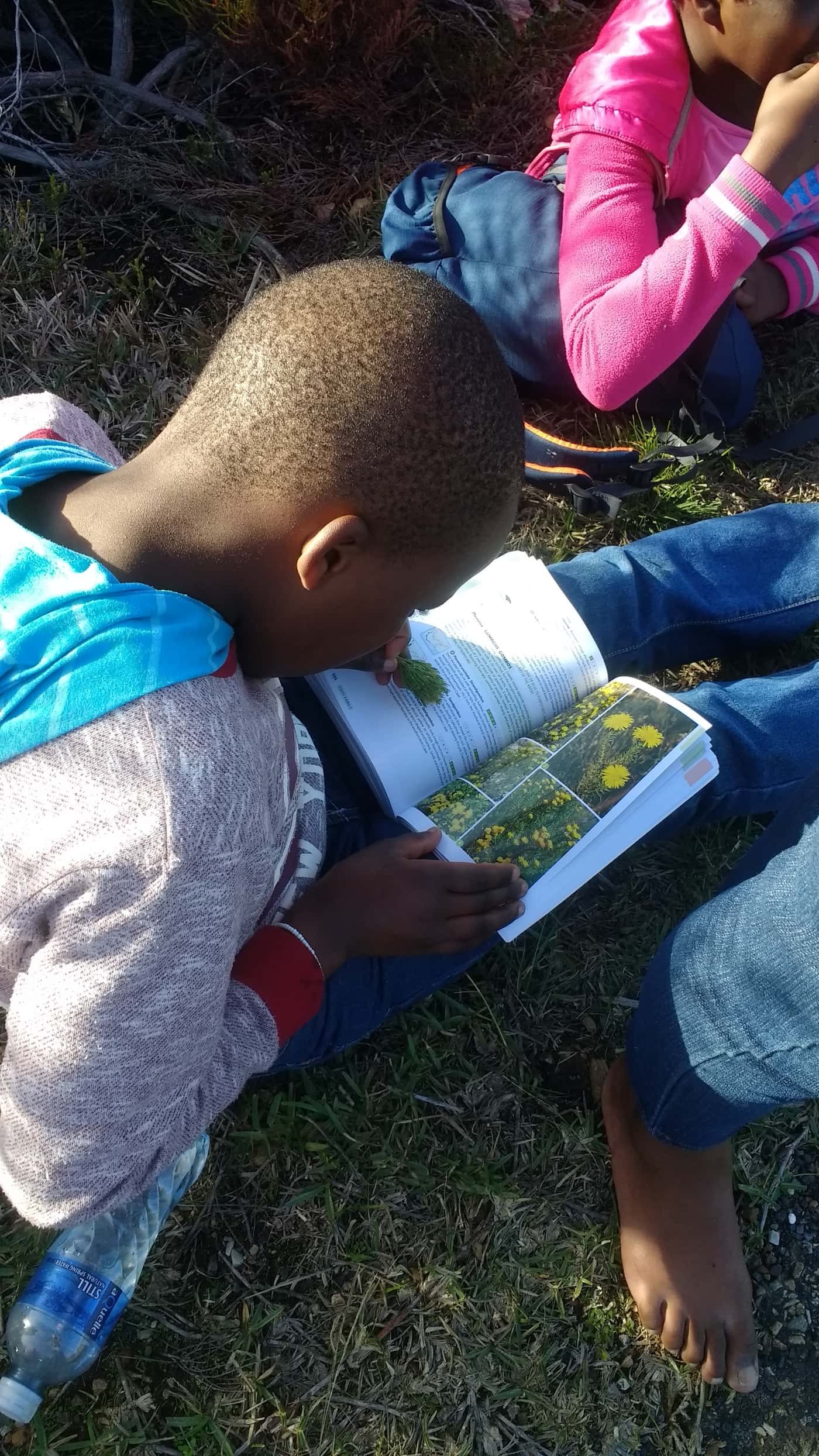 FABI engages youth from Philippi in research at Cape Point