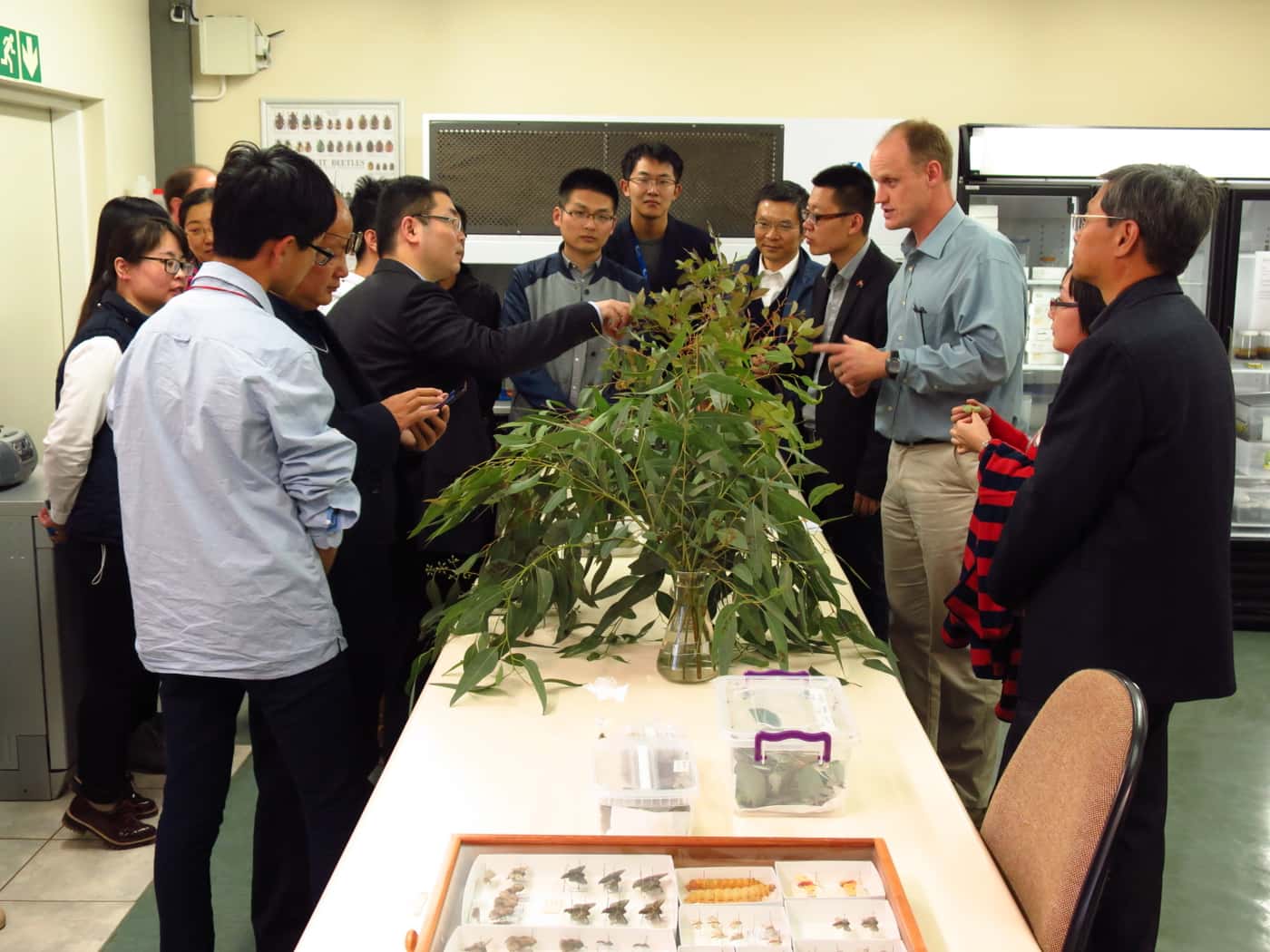Chinese Embassy delegation visits FABI