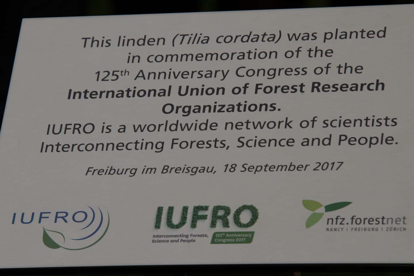 IUFRO President officiates at tree planting ceremony