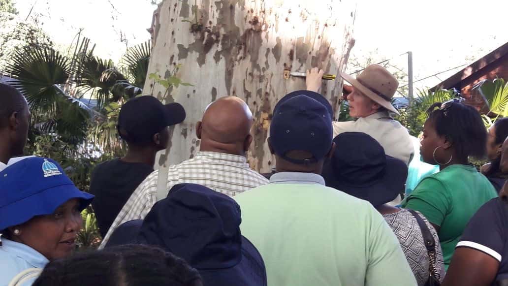FABI postdoctoral Fellow conducts International Plant Sentinel Network workshops
