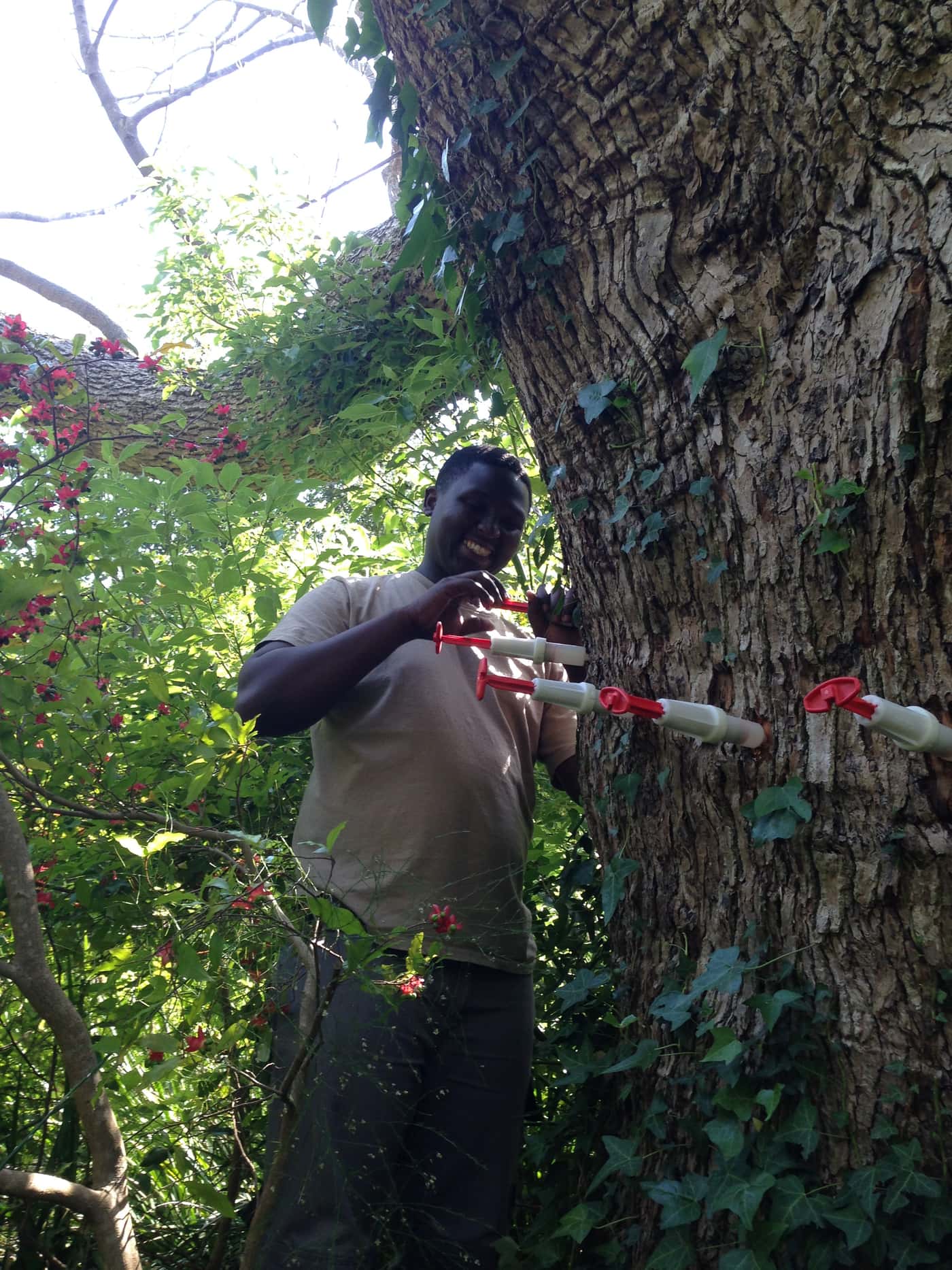 FABI postdoctoral Fellow conducts International Plant Sentinel Network workshops