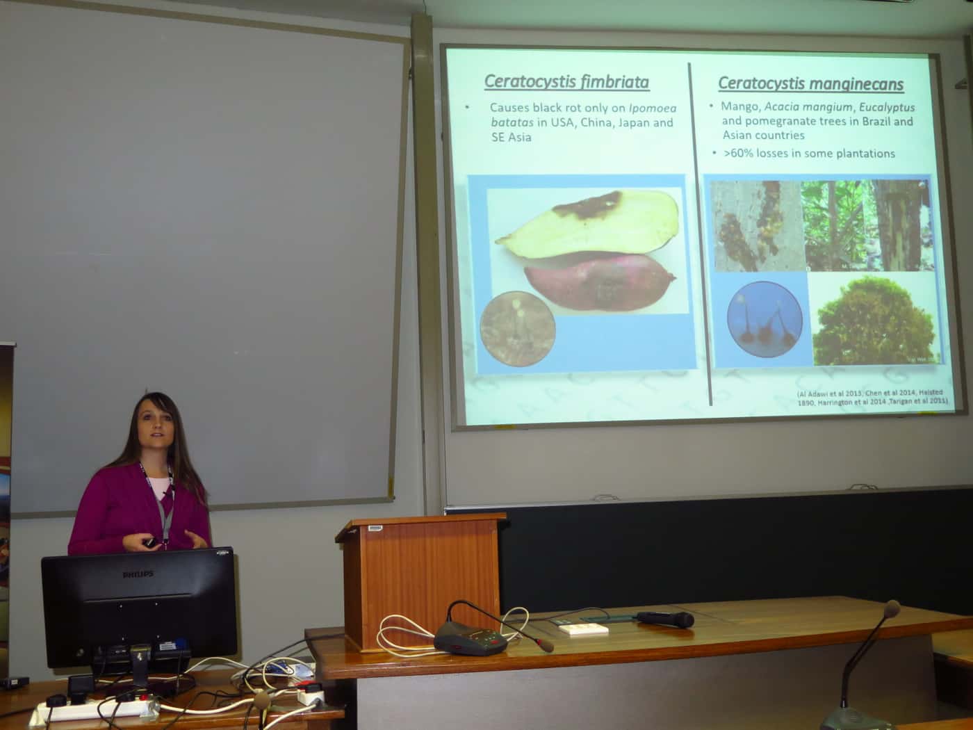 Opportunities for trailblazing research discussed on the second day of the 29th annual meeting of th