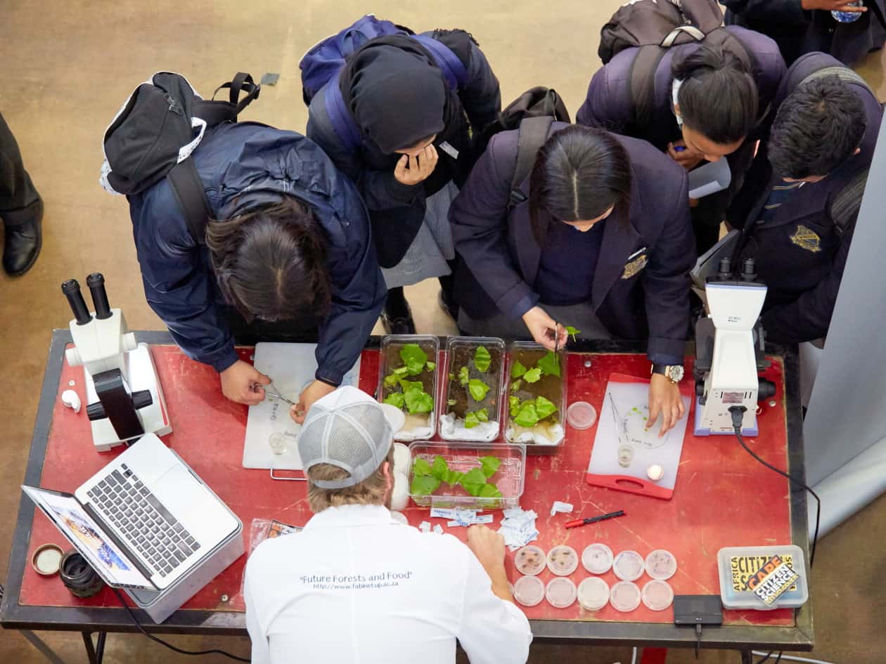 FABI initiative featured in Science Magazine