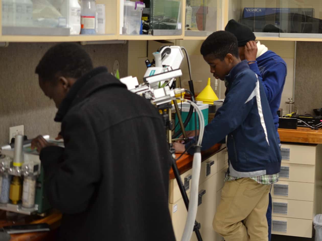 FABI initiative featured in Science Magazine