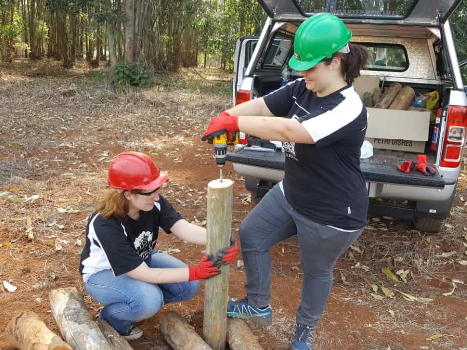 Hunting for ambrosia beetles in Tzaneen