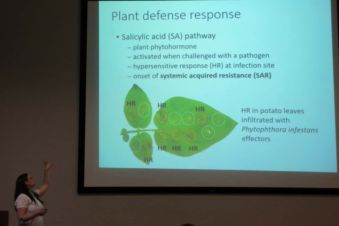 The Avocado Research Programme hosts a series of lectures to commemorate its 10th year anniversary