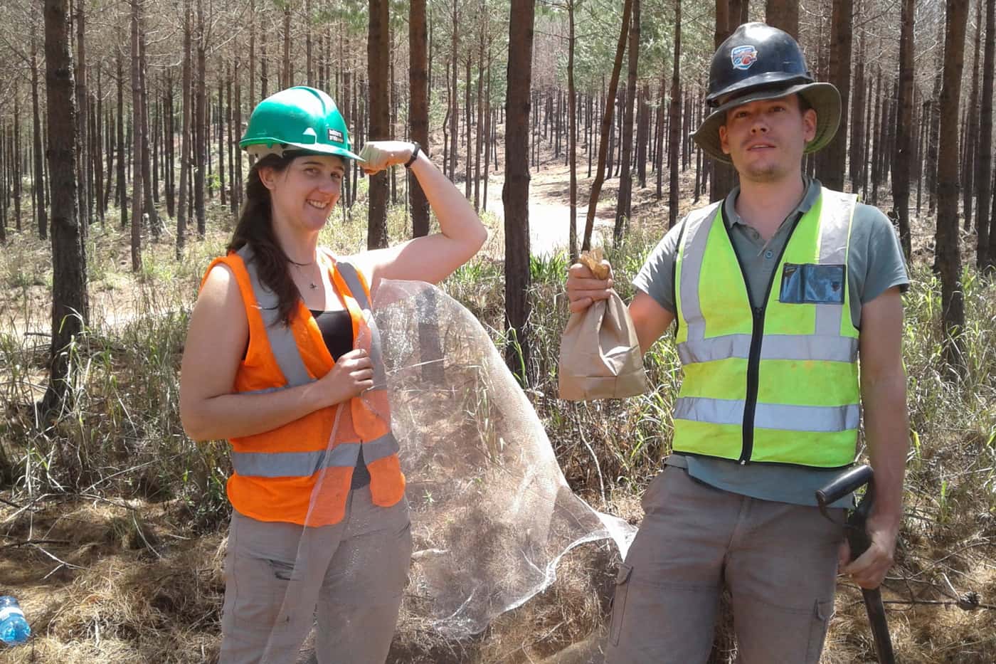 Chemical ecology field work at FABI