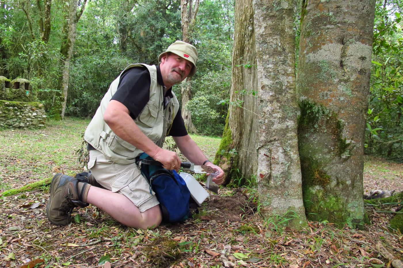 Expanding an understanding of South Africa’s mycodiversity