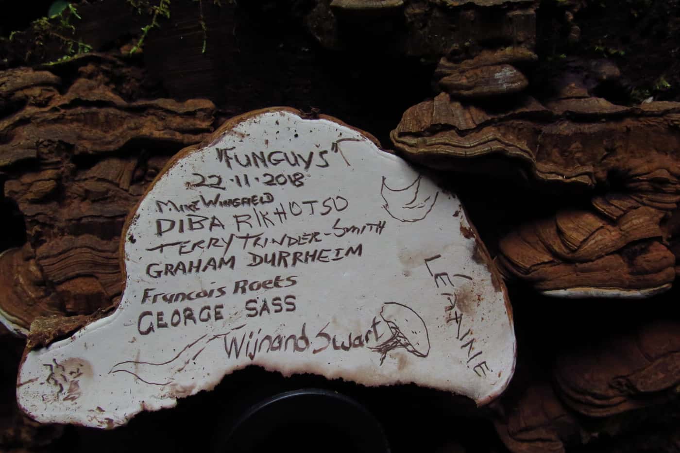 Expanding an understanding of South Africa’s mycodiversity