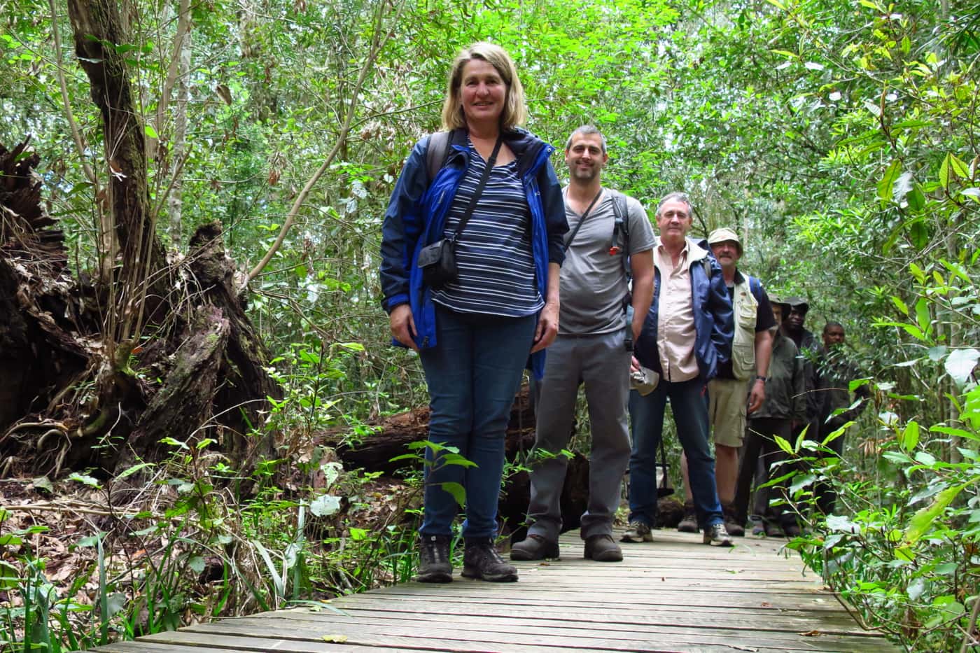Expanding an understanding of South Africa’s mycodiversity