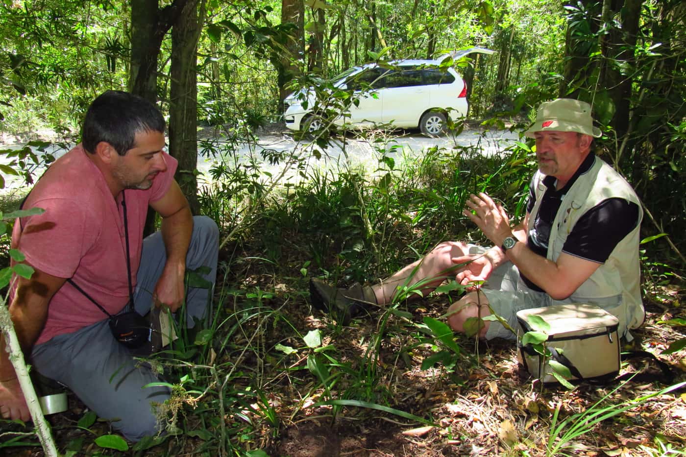 Expanding an understanding of South Africa’s mycodiversity
