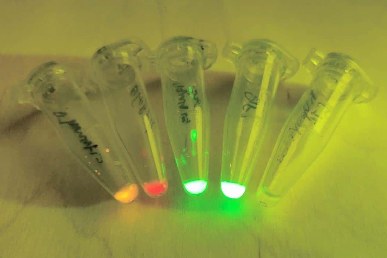 FABI researchers co-organize international low-cost viral diagnostics workshop featuring open-source