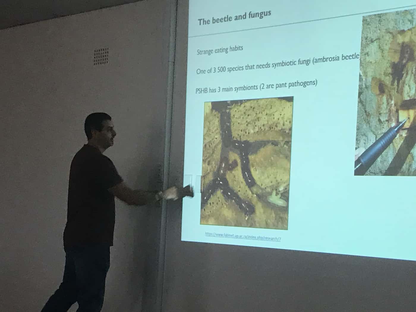 Shothole Borer meetings in the Cape Peninsula
