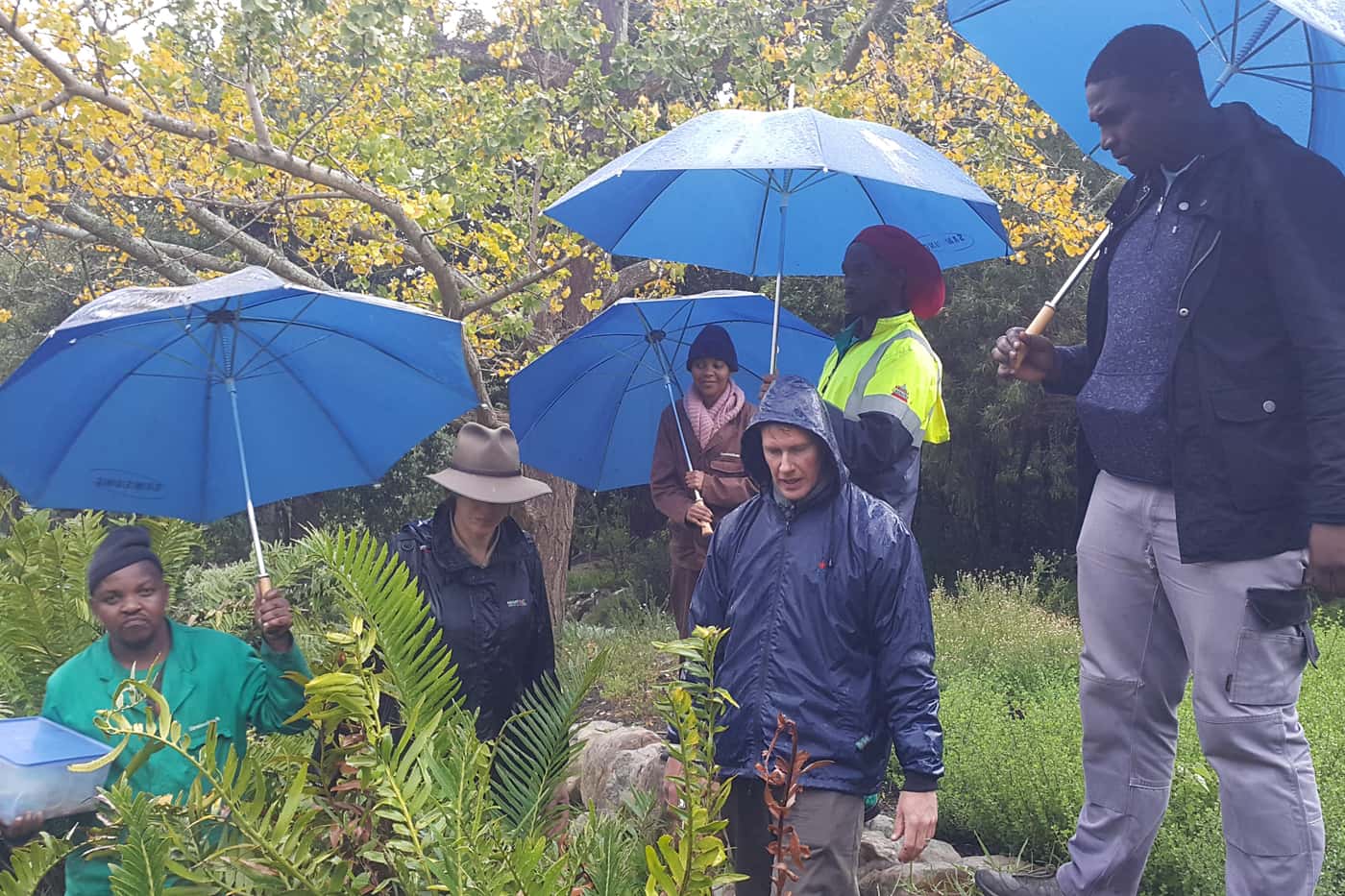 Monitoring plant health in botanic gardens and arboreta across South Africa