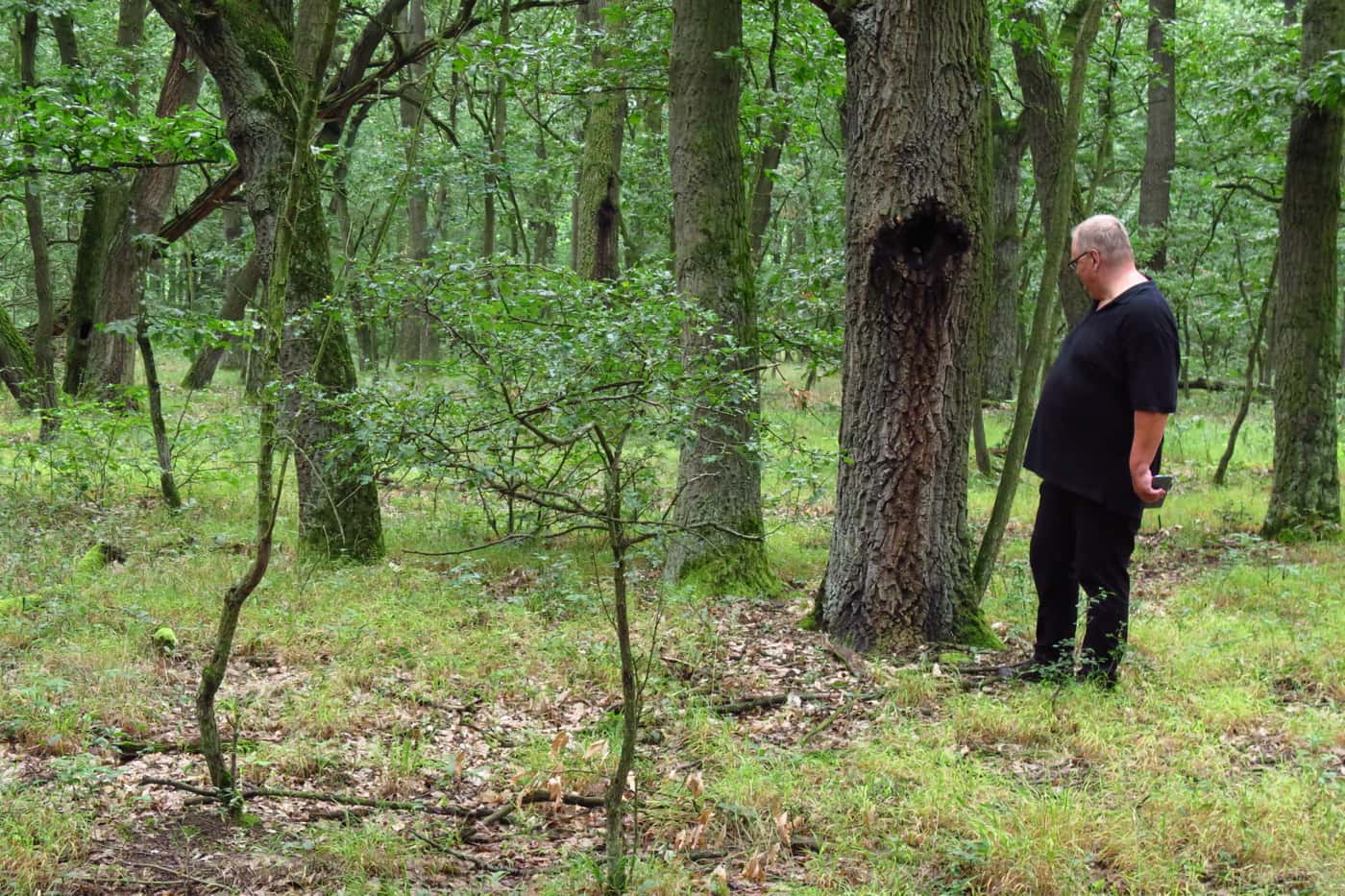 A day-long visit to forests of Czech Republic with Prof. Libor Jankovsky