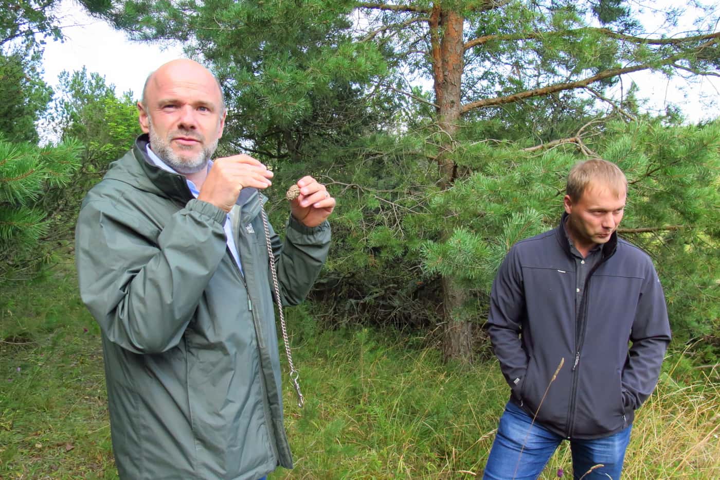 A brief forest pathology tour of south Estonia