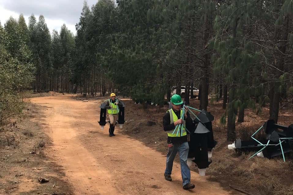 FABI chemical ecology field trials planned for 2019 and 2020