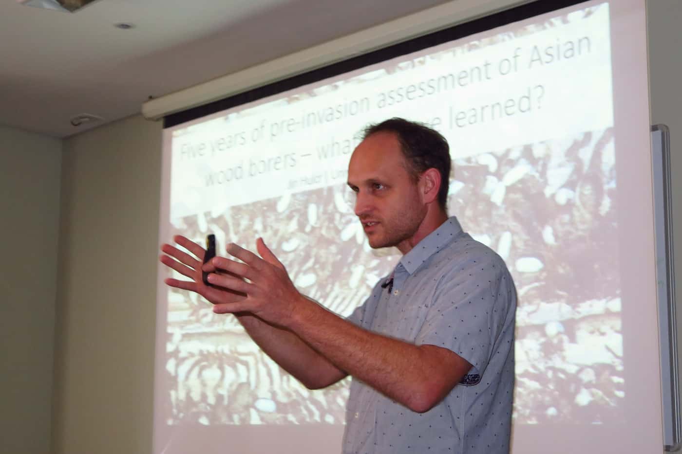 Ambrosia beetle expert presents a special seminar at FABI