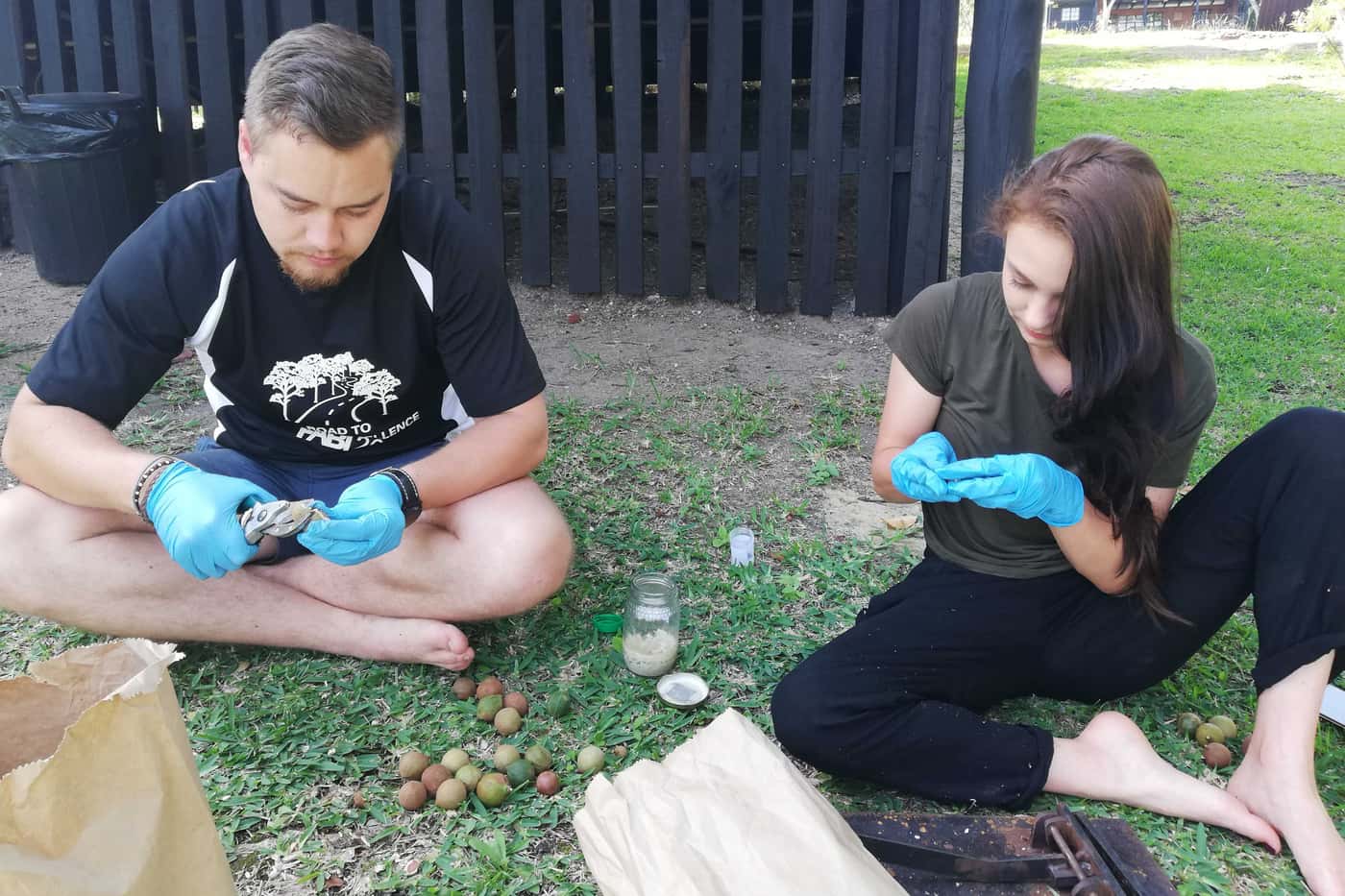 The Macadamia Protection Programme’s first survey for 2020