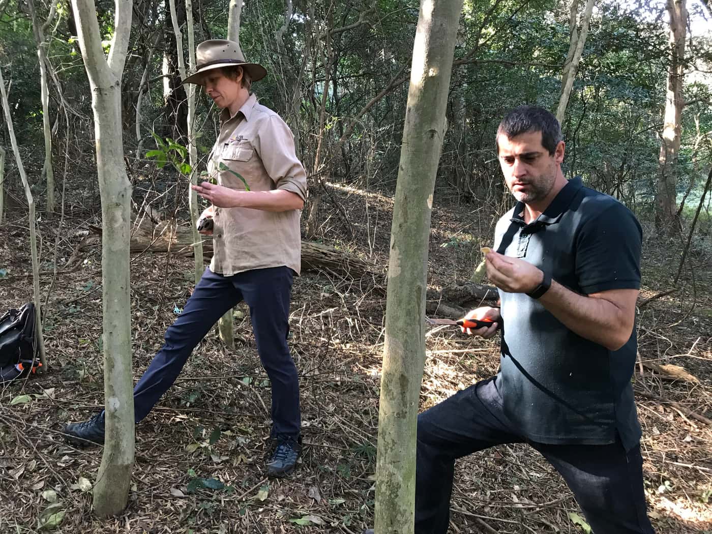 FABIans in the news: Two articles in Wood Southern Africa & Timber Times highlight the work done by