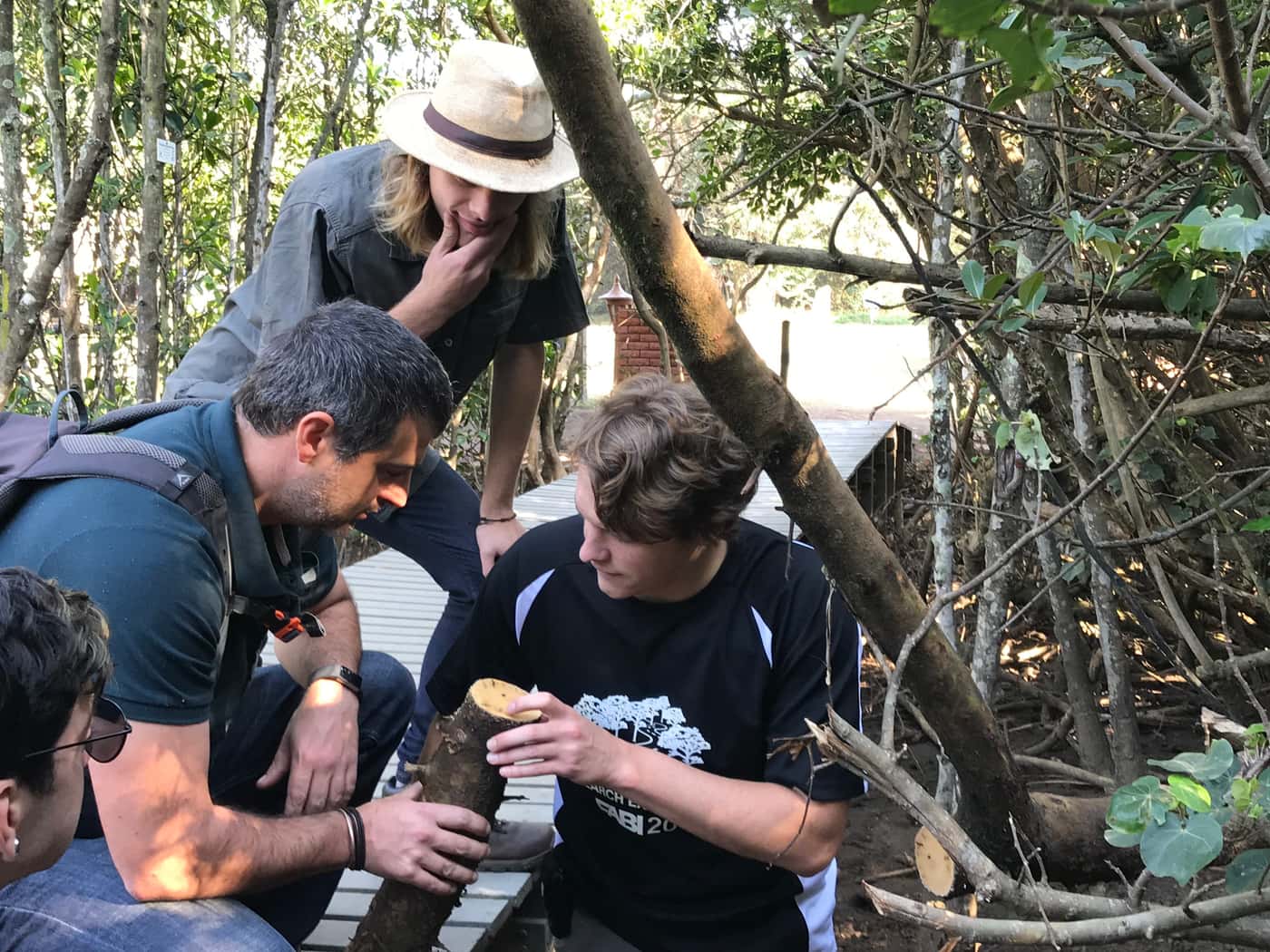FABIans in the news: Two articles in Wood Southern Africa & Timber Times highlight the work done by