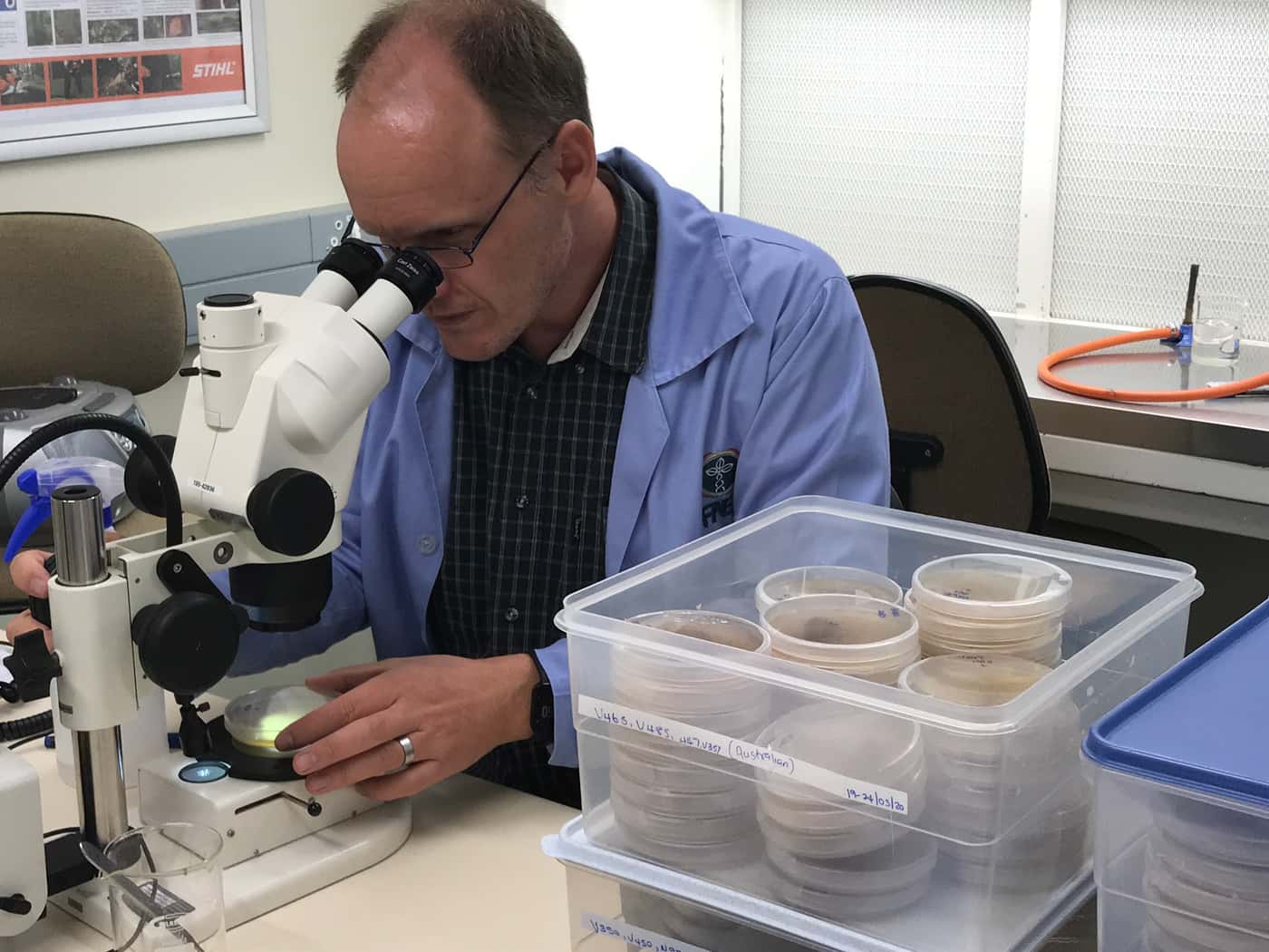 Keeping the TPCP biocontrol research programme alive (literally) during lockdown