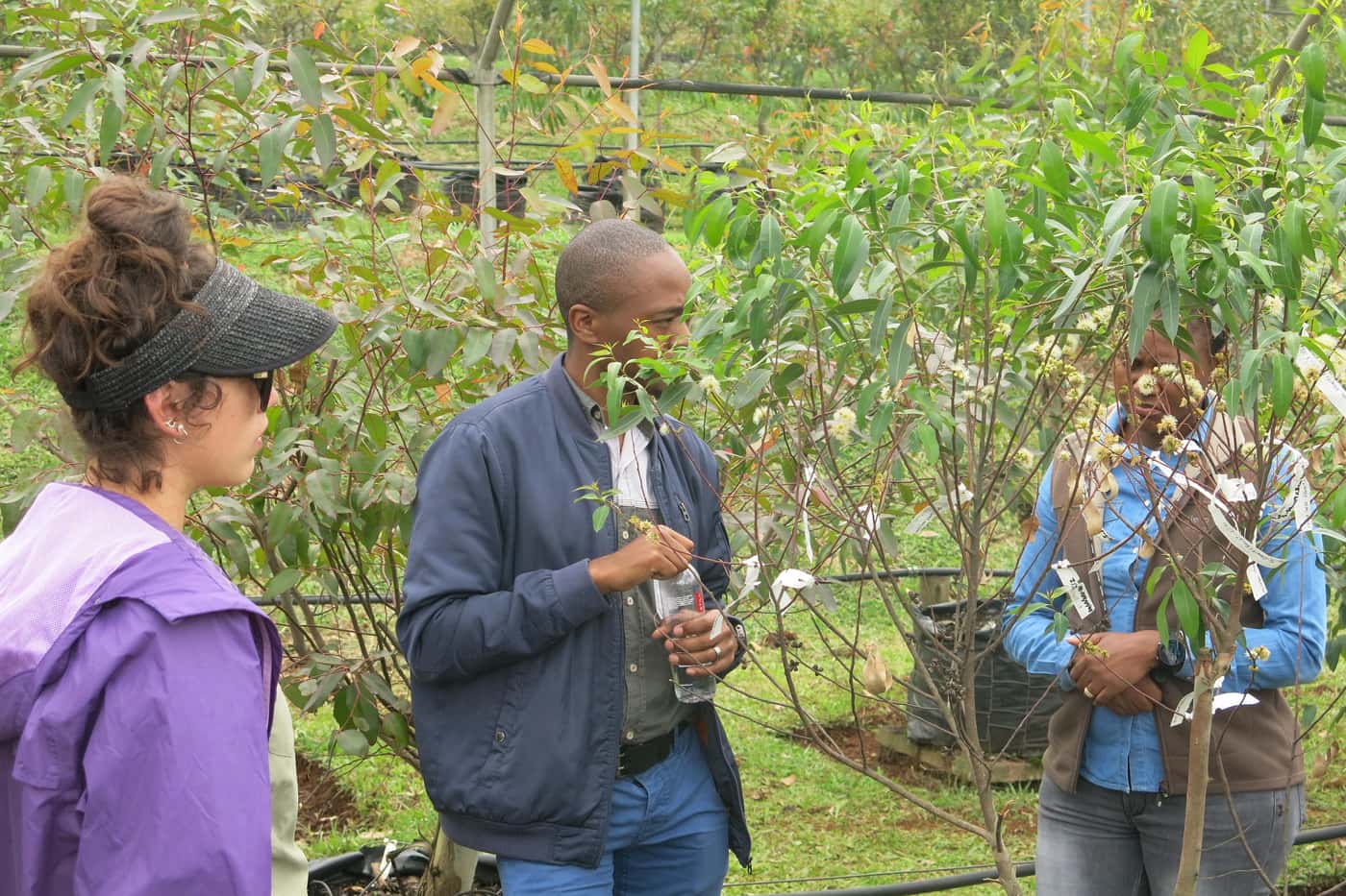 Members of the TPCP Diagnostic Clinic learn more about forestry in Mpumalanga and KZN during their a