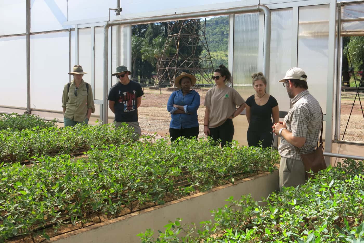 Members of the TPCP Diagnostic Clinic learn more about forestry in Mpumalanga and KZN during their annual training trip