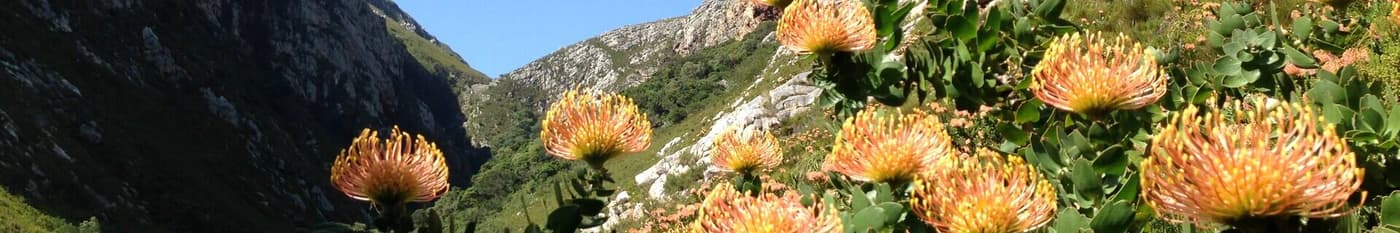 Sentinel Plant Project research group