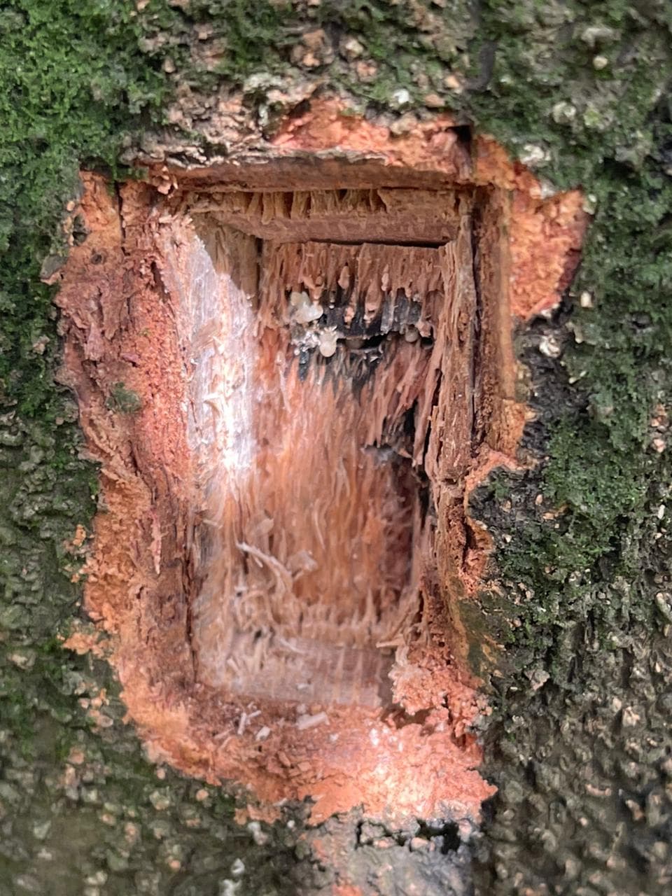 Signs of life