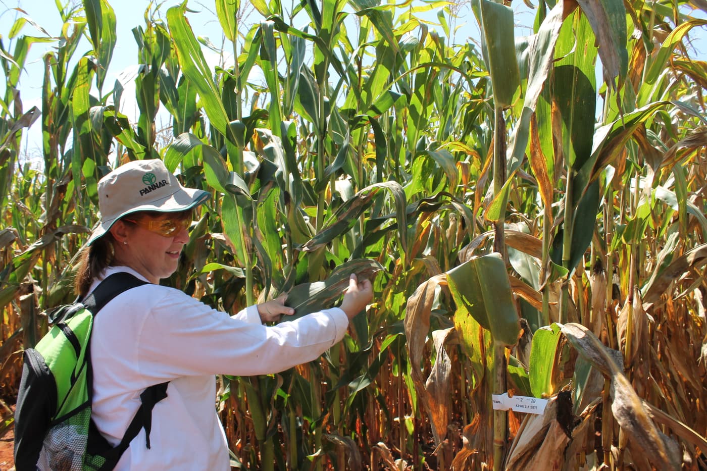 Bridget Crampton in the field