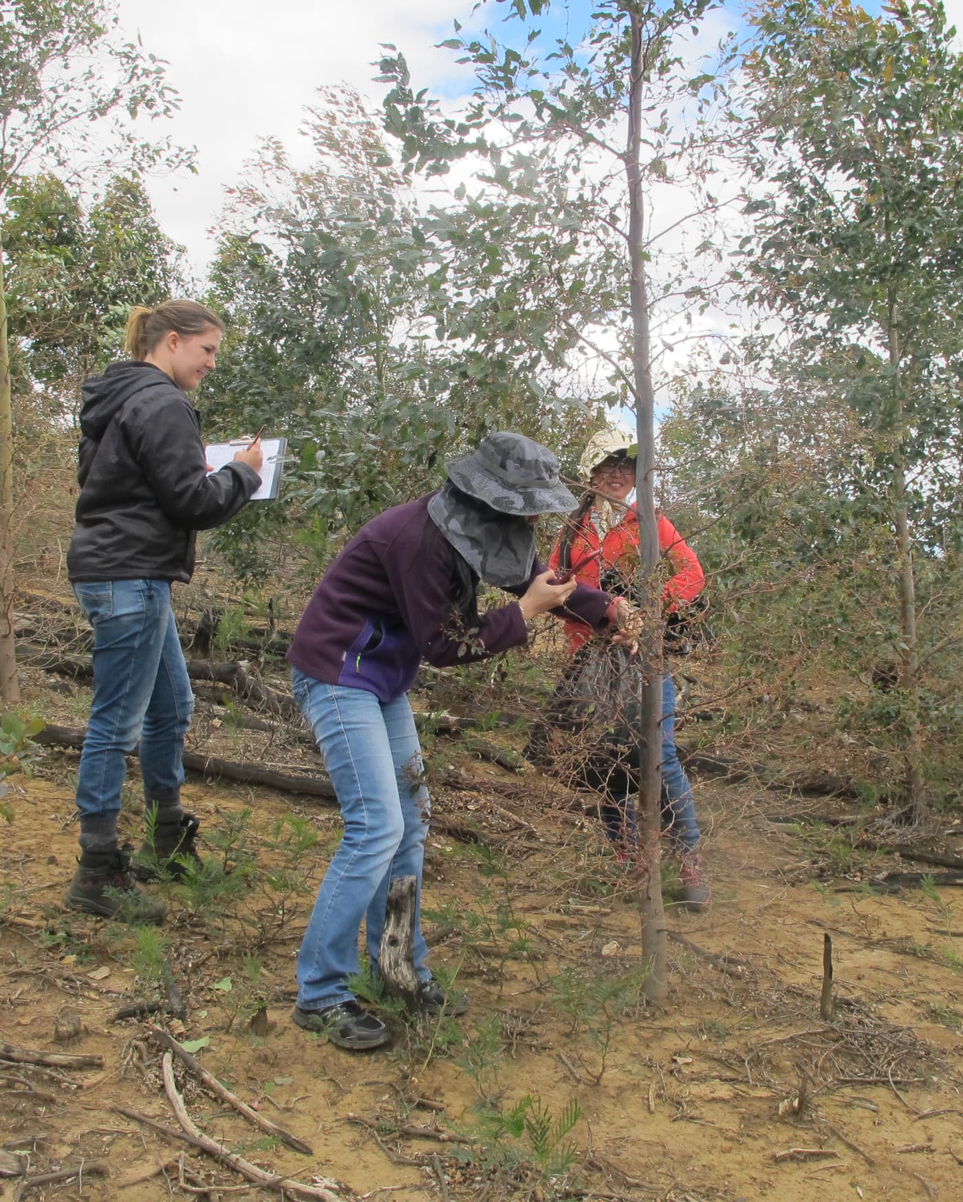 Field Work