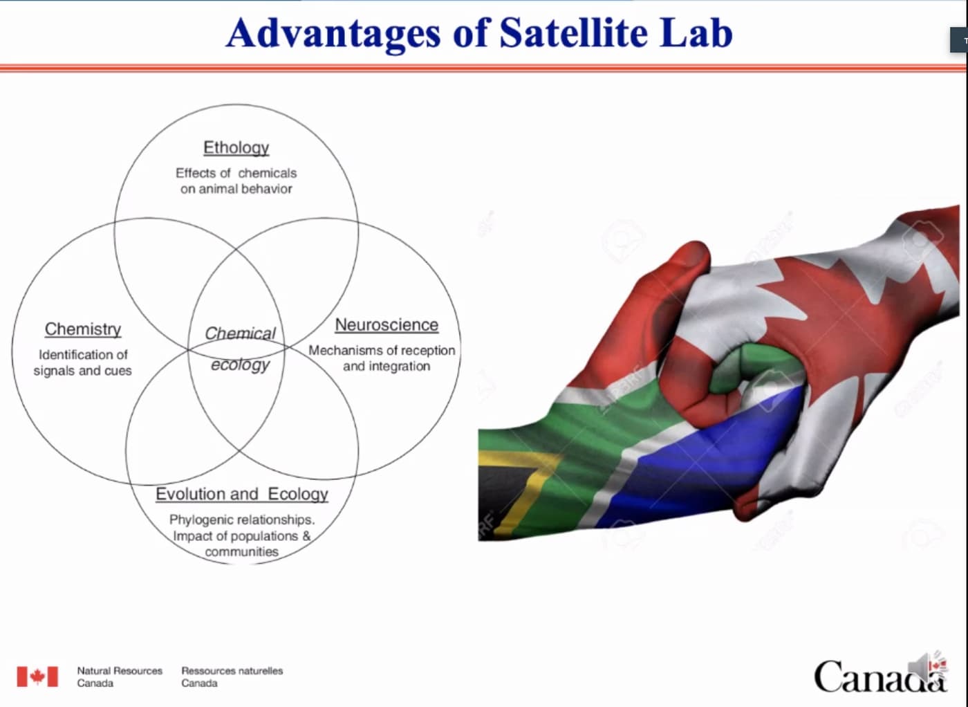 Big data, biotechnology and the future of tree health management at FABI