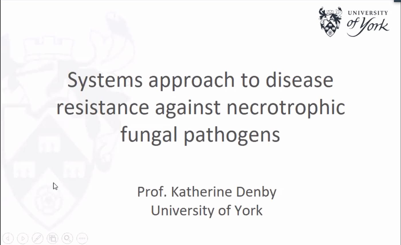 Fifth FABI International Seminar explores disease resistance against necrotrophic fungal pathogens