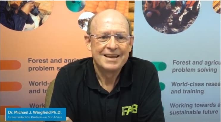 Online launch of forestry pests and diseases book