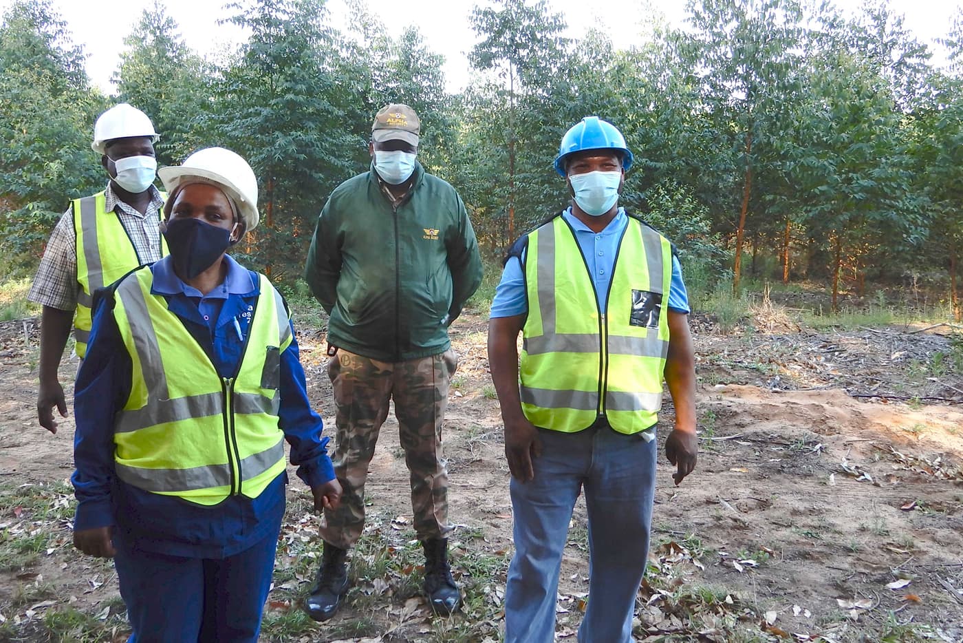 More than 500 <i>Eucalyptus</i> trees harvested for future studies in FABI