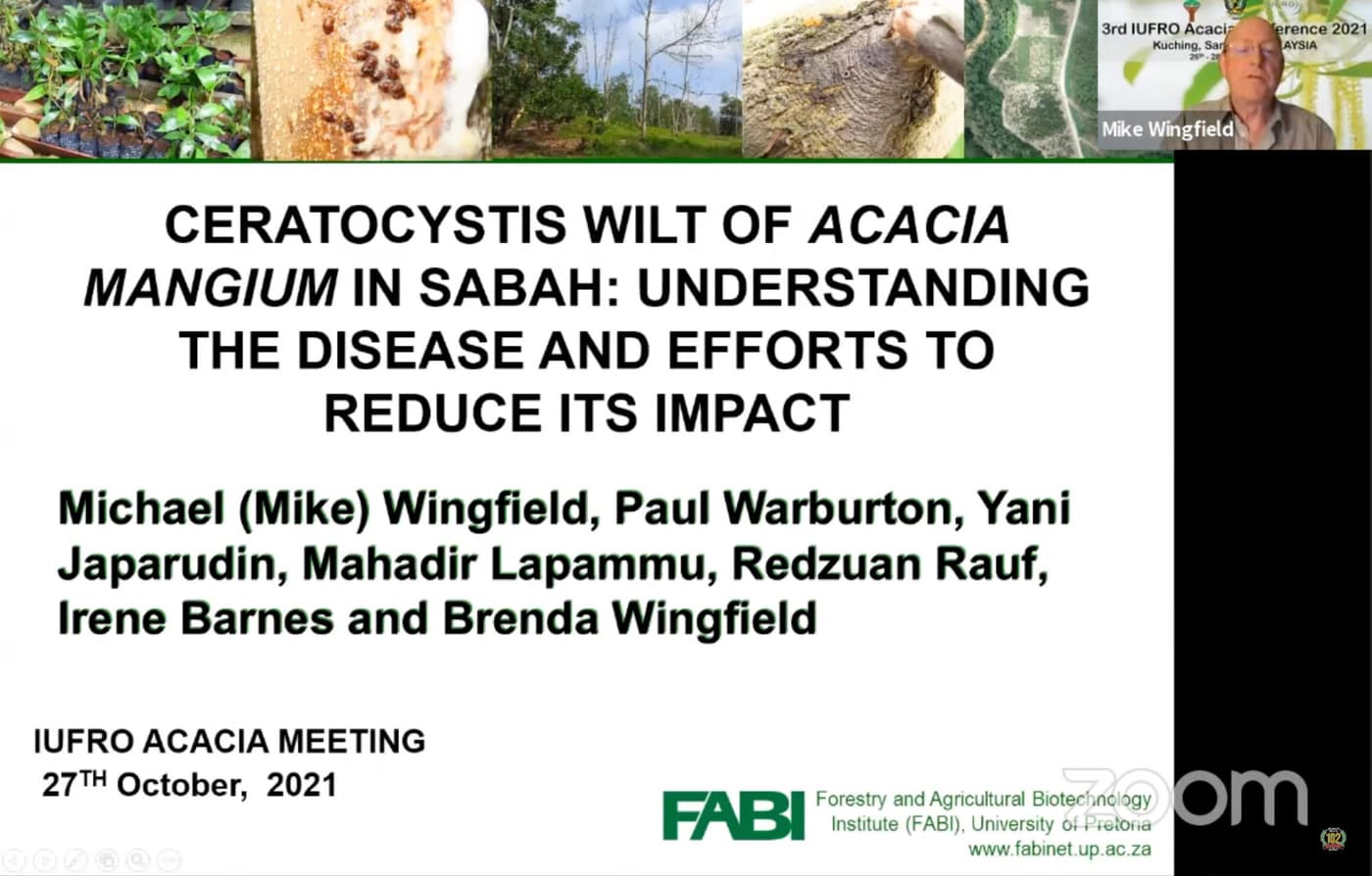 FABI researchers make an early start to present at the 3rd IUFRO <i>Acacia</i> webinar