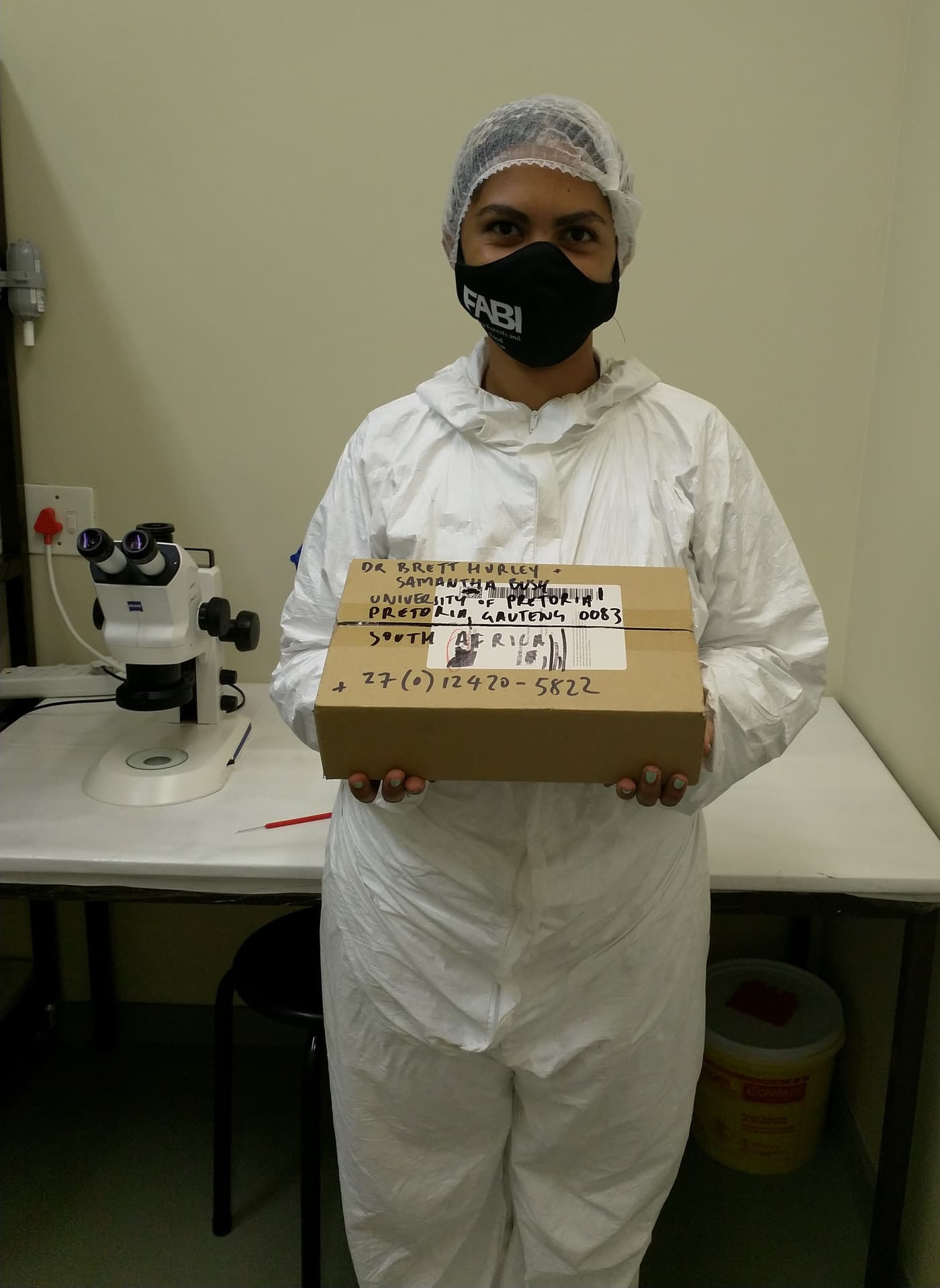 Arrival of parasitoid wasps from Australia
