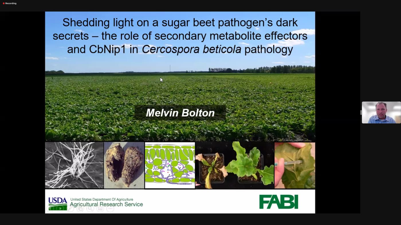 FABI International Seminar Series looks at fungicide resistance in Sugarbeet