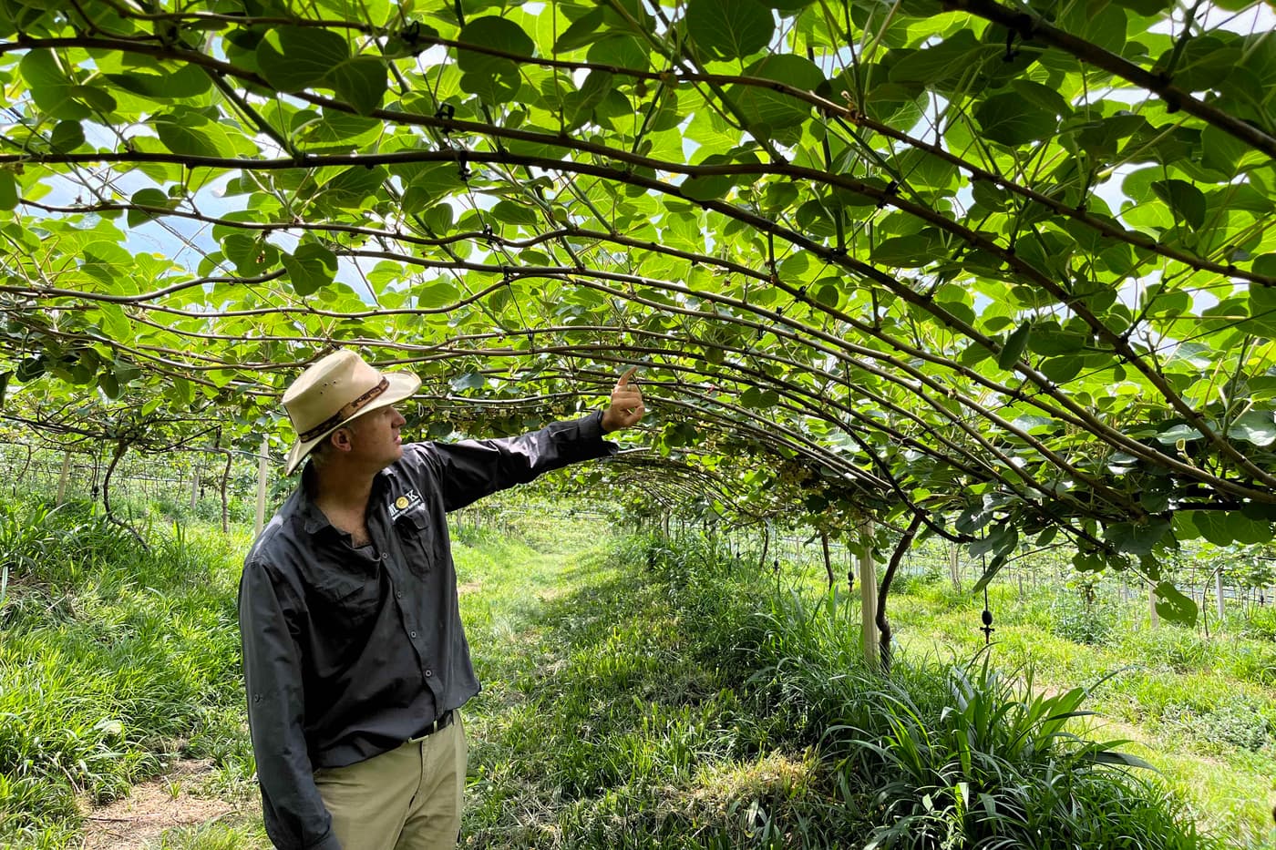 The start of a collaboration: FABIans learning the ins and outs of kiwi growing in South Africa