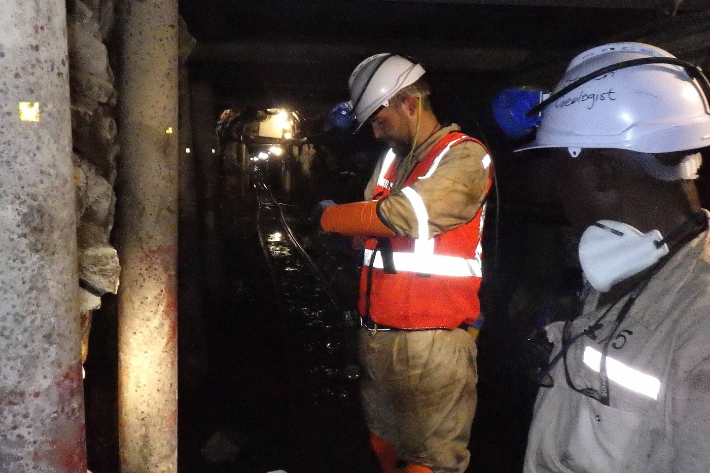 FABIans search for <i>Sporothrix</i> species associated with local mining operations